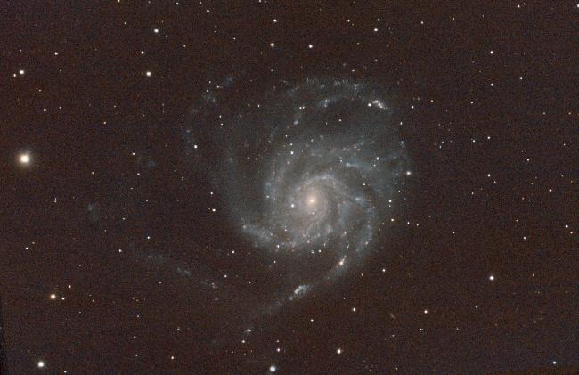 M101