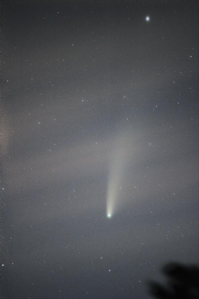 Néowise dans les nuages