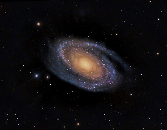 M81