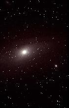 m31