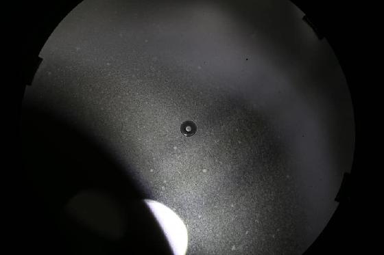 Dobson "artisanal" 254/1200