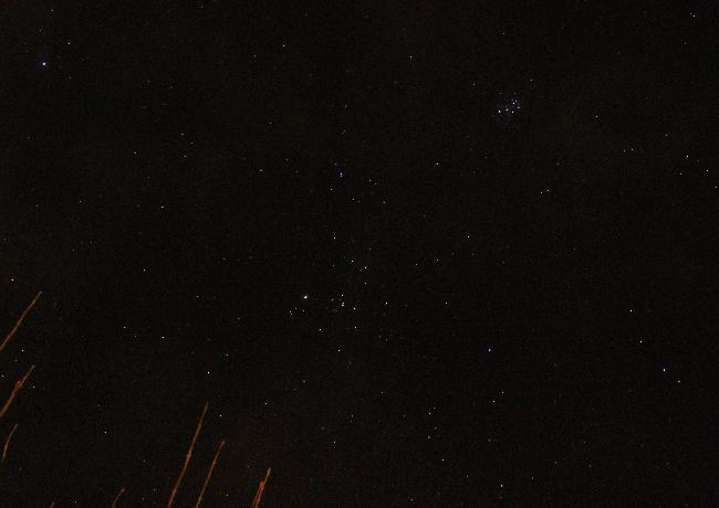 les pleiades et le taureau