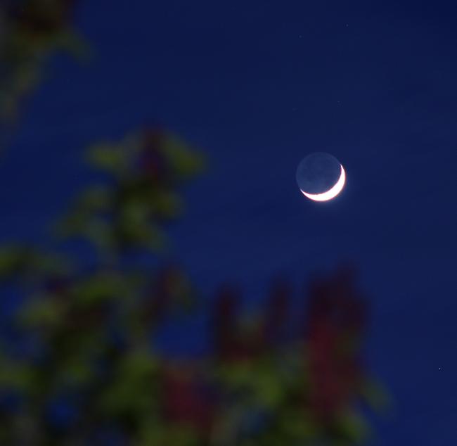 lune cendrée du 15.04.2021