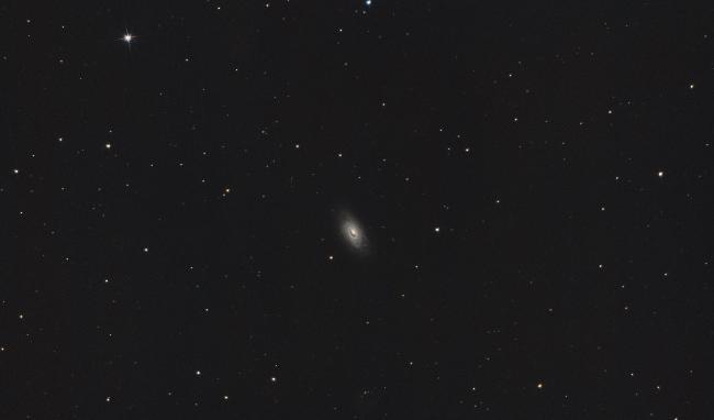 M64