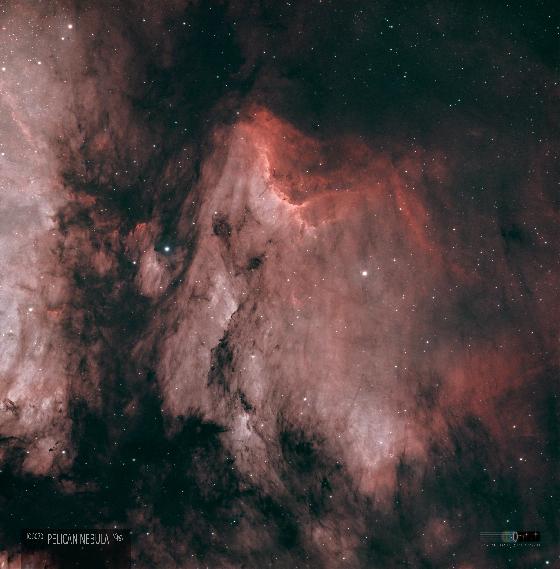 IC7380_Pelican_Nebula_76EDPH