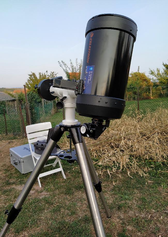 Patience vespérale...