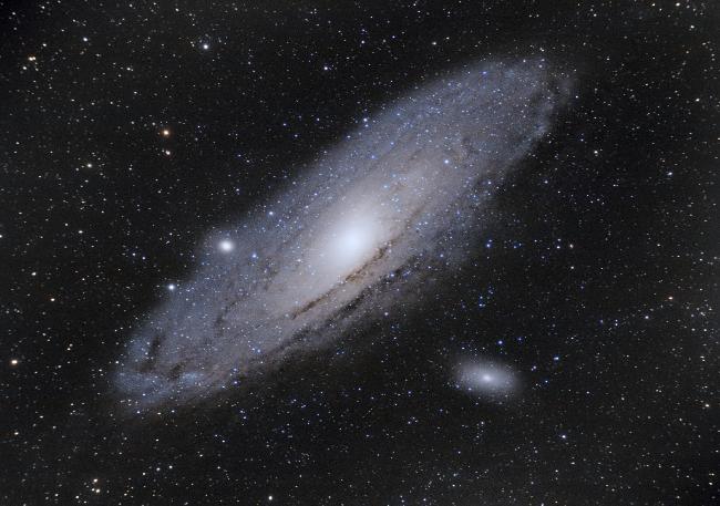 M31