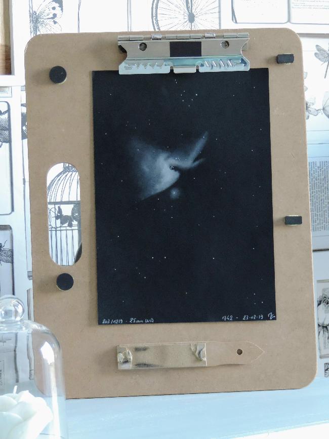 Du Pastel à l'oculaire