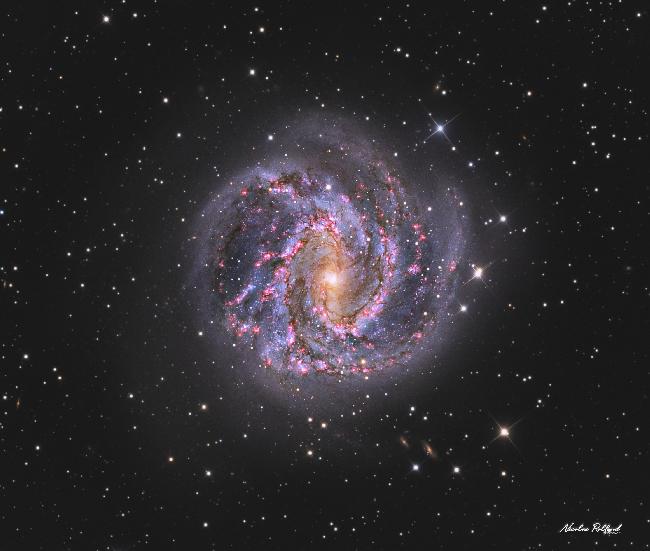The Southern Pinwheel Galaxy - HaLRGB