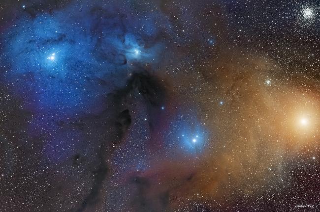 Le complexe Rho Ophiuchi