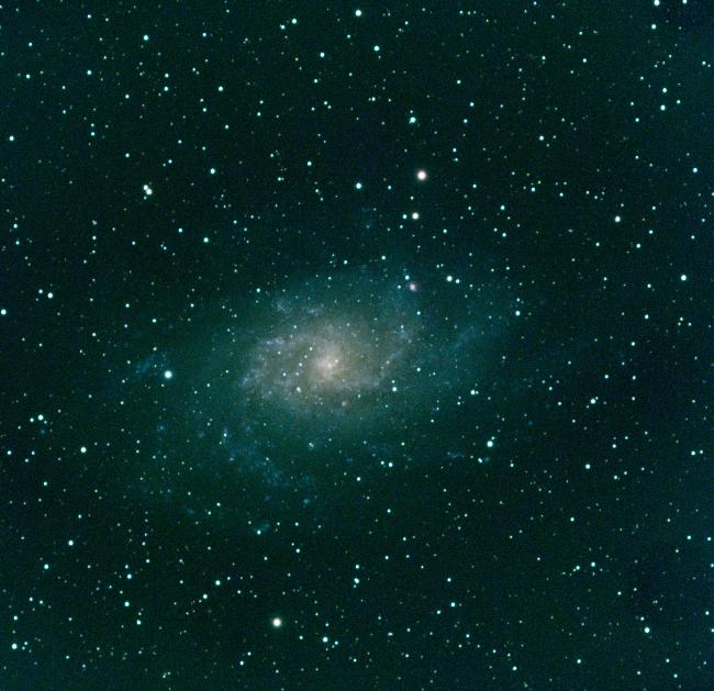 M33
