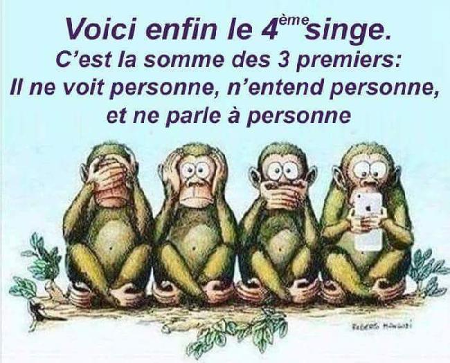singes4