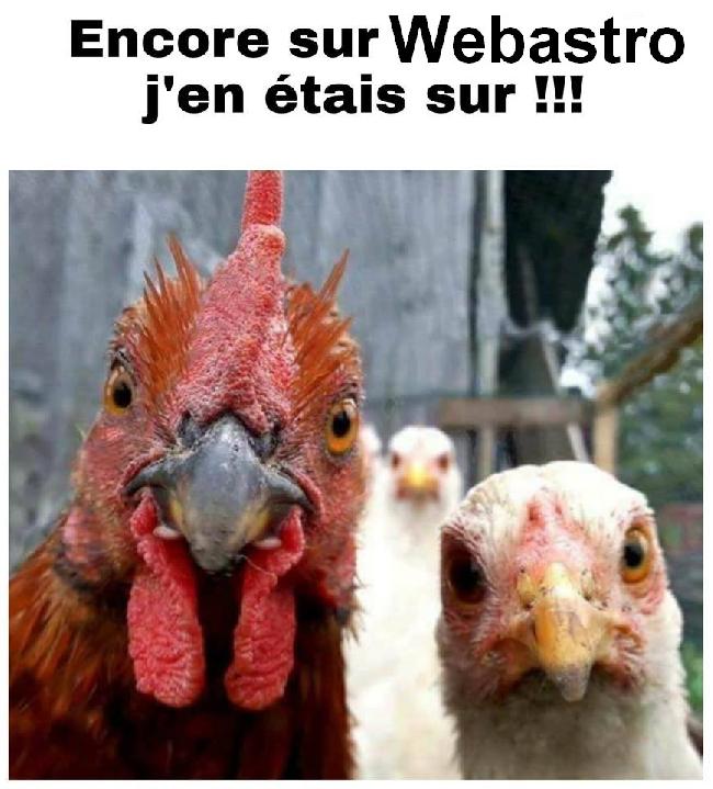 poulet