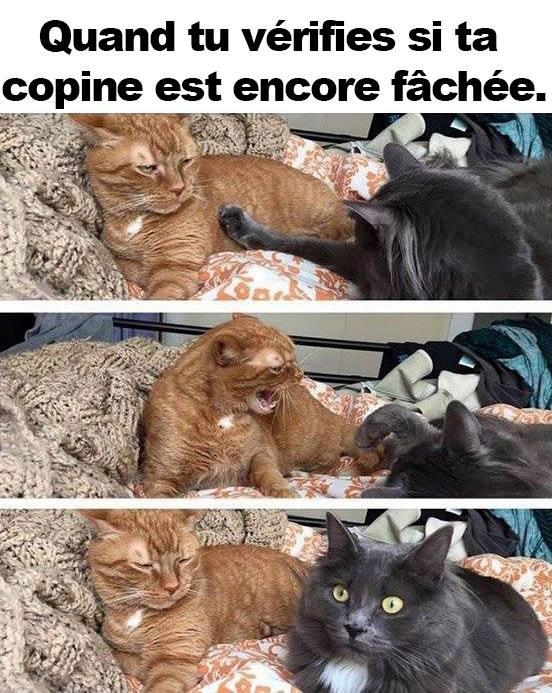 copine_fachée