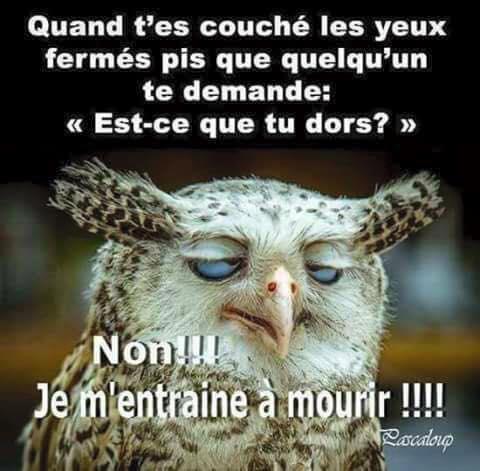 mourir_dormir