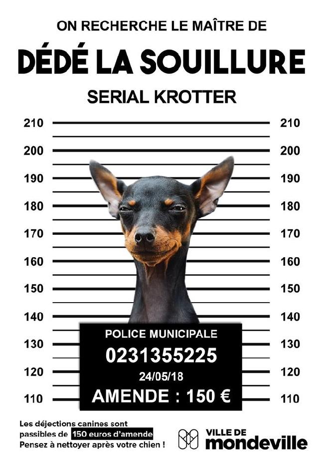 serial_krotter