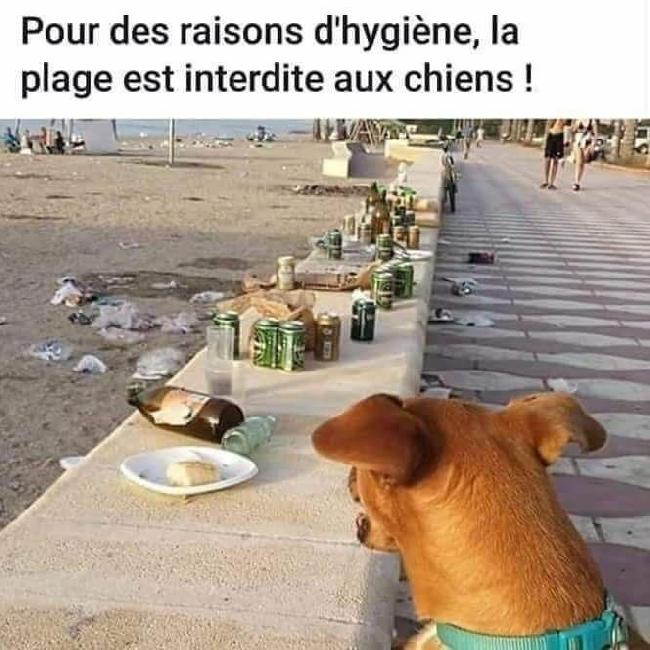hygienne