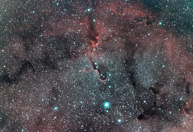 trompe de l'éléphnat