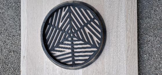 Celestron C11 fastar xlt carbone 