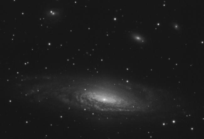 ngc7331 L crop