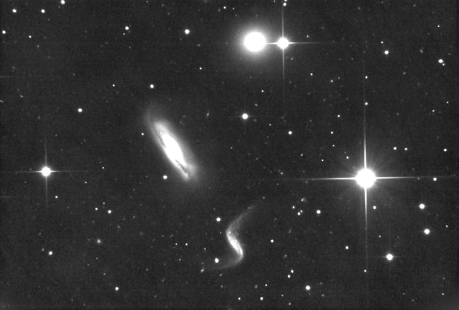 Hck 44 L High Contrast