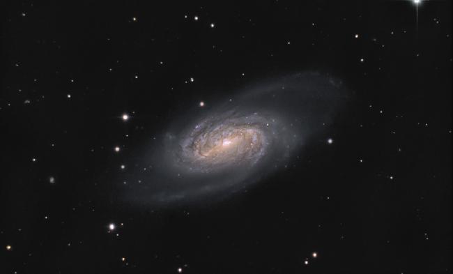 ngc2903 LRGB