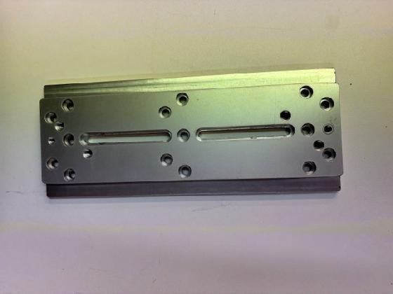 queue d'aronde  losmandy mâle Altaïr