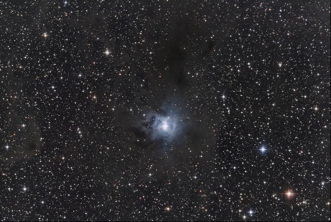 Ngc7023