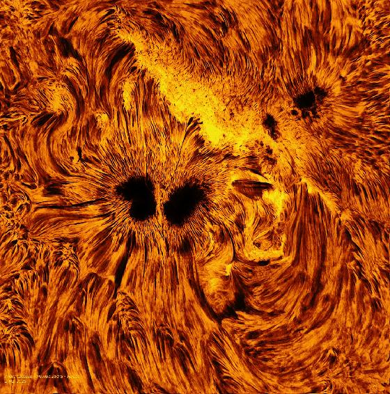 Mewlon 250 S + filtre ERF 250 mm + accessoires taka