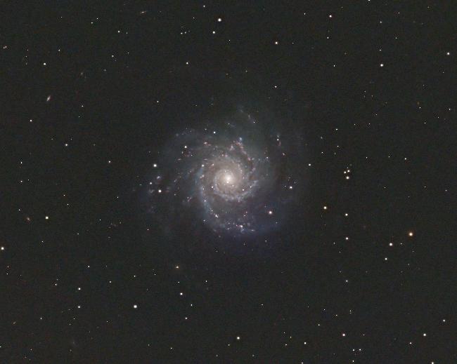 M74