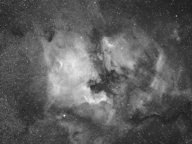 Amérique Pélican Ha