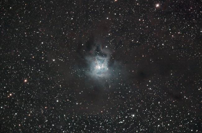 NGC7023 - Nébuleuse de l'Iris