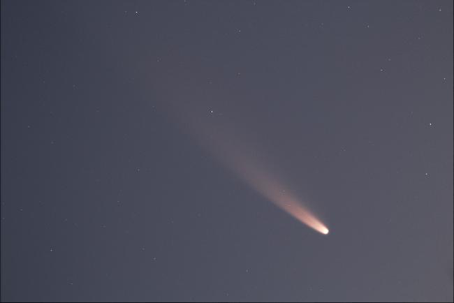 Belle chevelure de Neowise le 10 Juillet