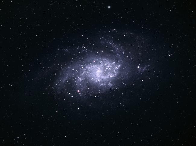 M33