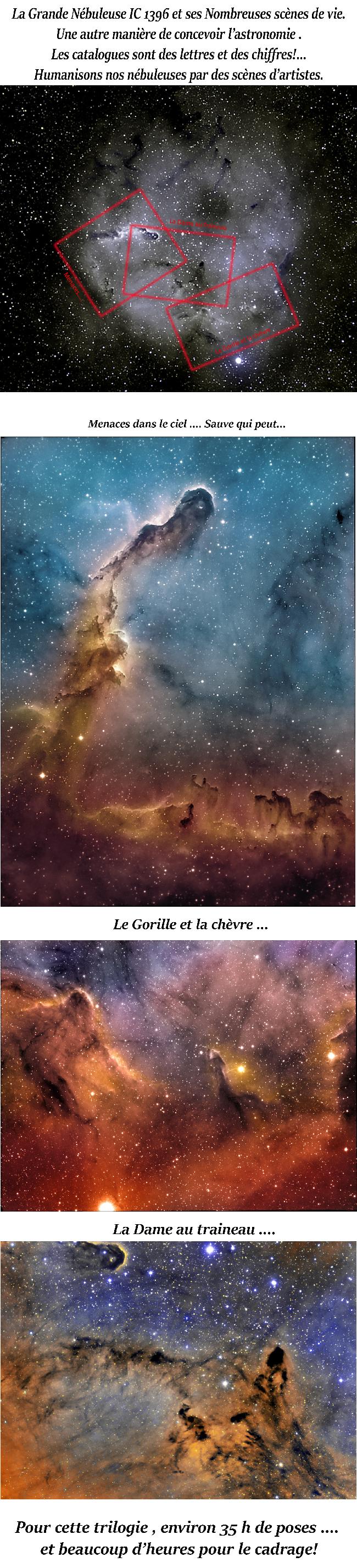 De la vie dans ic 1396