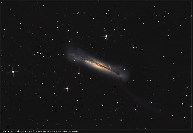 NGC 3628 - le Hamburger
