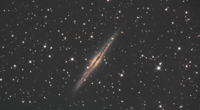 Ngc 891