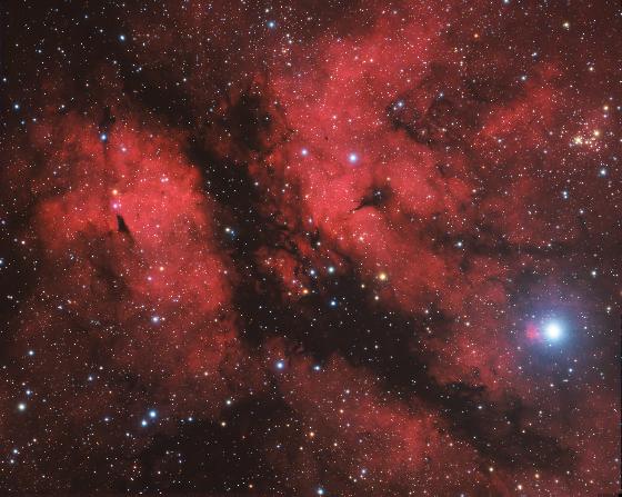 IC1318