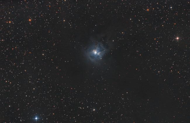 Ngc 7023 iris