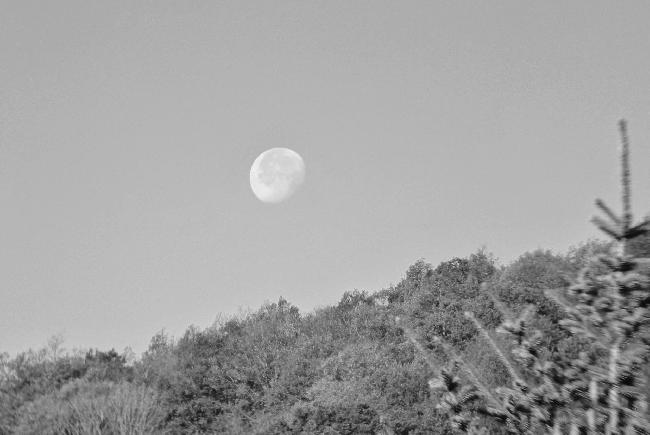Couchée de lune au matin