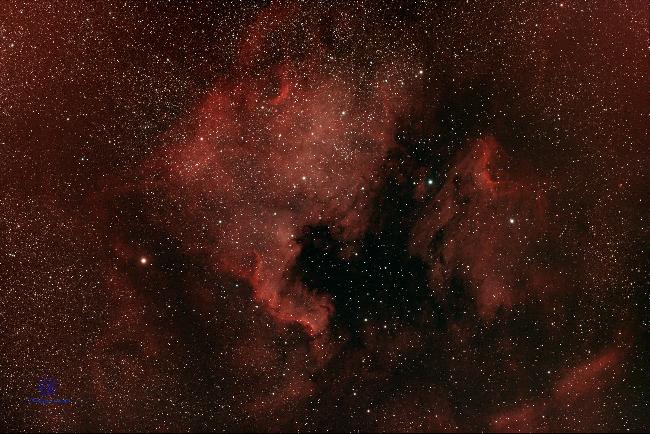 L’Amérique du nord et le Pélican