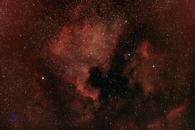 L’Amérique du Nord et le Pélican