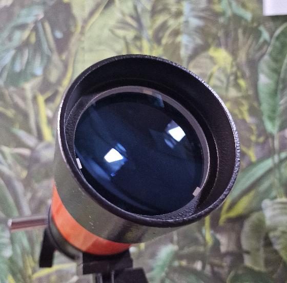 Lunette Perl Halley 70