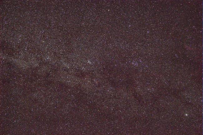 cassiopee persee grand champ