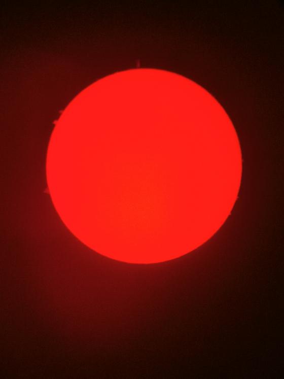 Lunette PST Coronado 