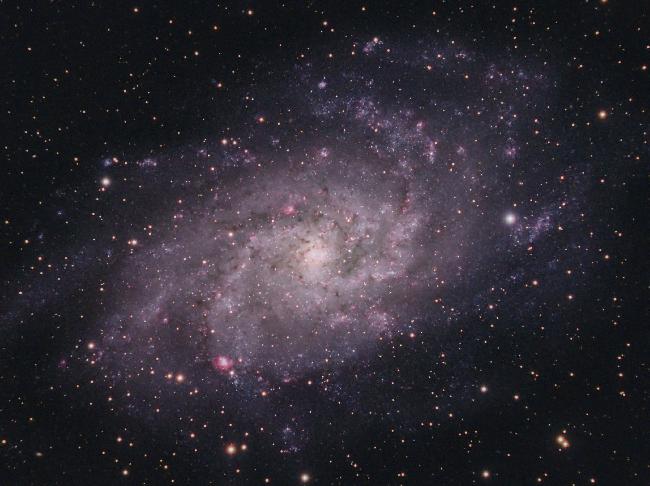 M 33