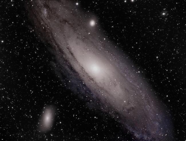 M 31