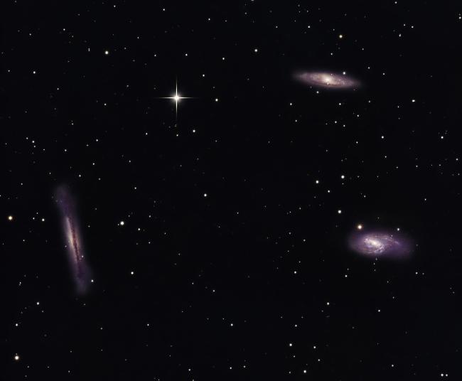 M 66, triplet du lion