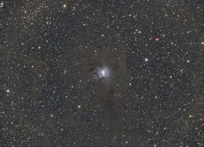 Ngc7023 iris