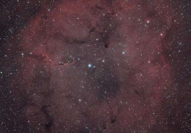 Ic1396 la trompe d'elephant